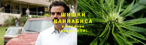 хмурый Абаза