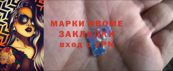 хмурый Абаза