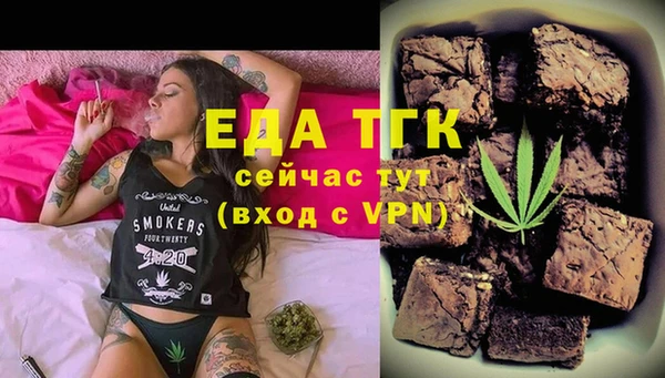 хмурый Абаза