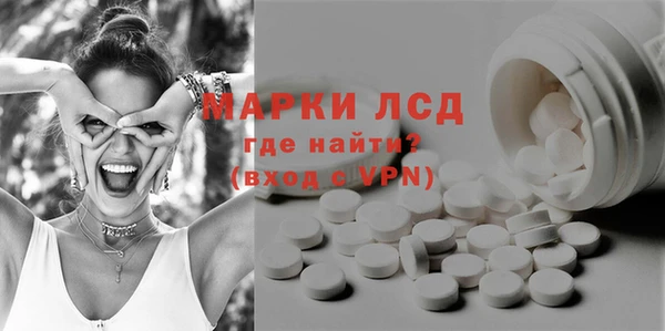 хмурый Абаза