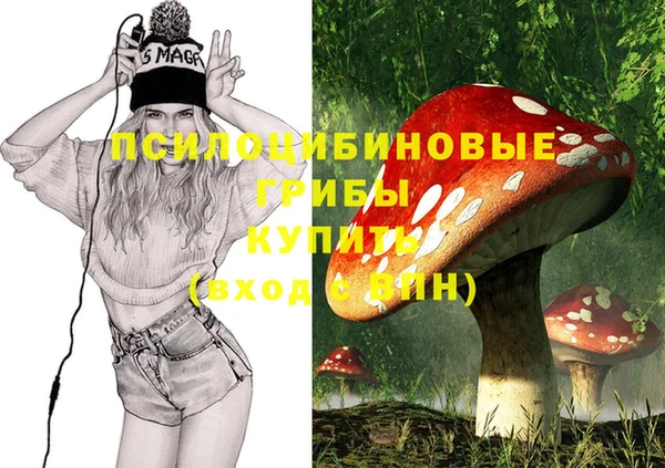 гашик Абдулино