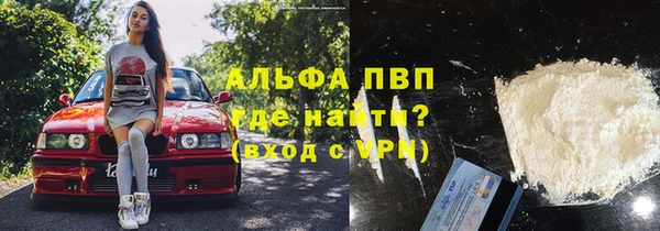 хмурый Абаза