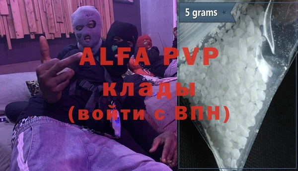 хмурый Абаза