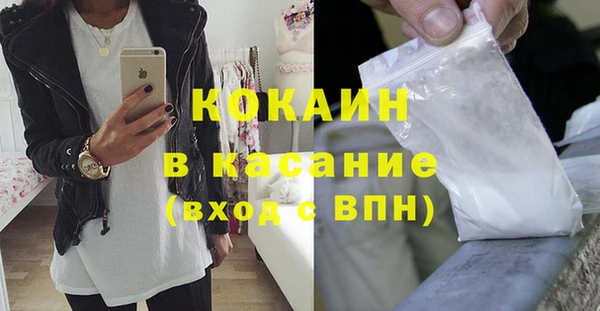 хмурый Абаза
